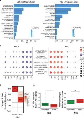 MYCN Drives a Tumor Immunosuppressive Environment Which Impacts Survival in Neuroblastoma